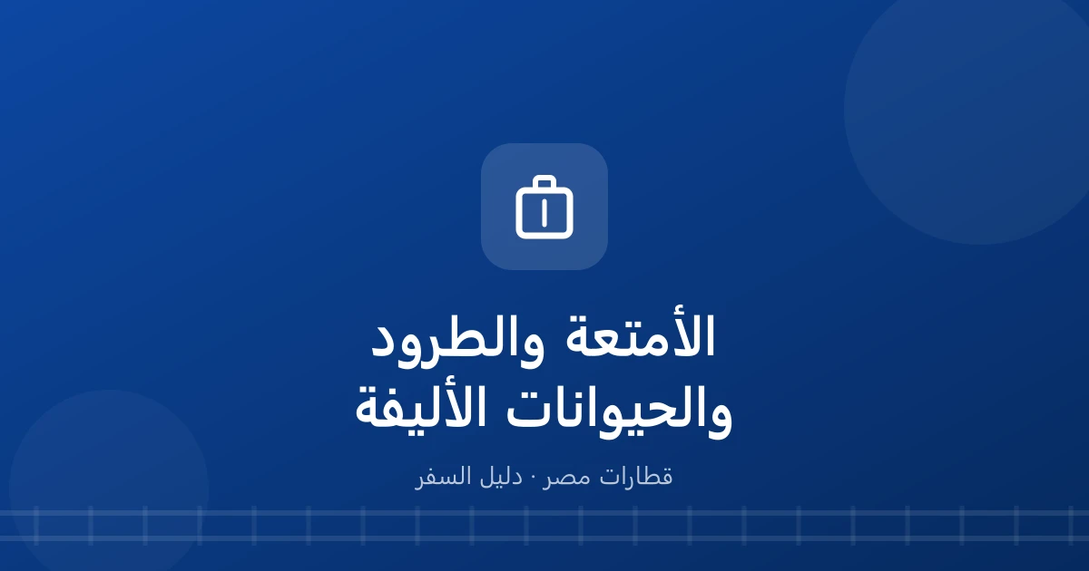 الشنط الكبيرة والحيوانات في القطار.. المسموح والممنوع